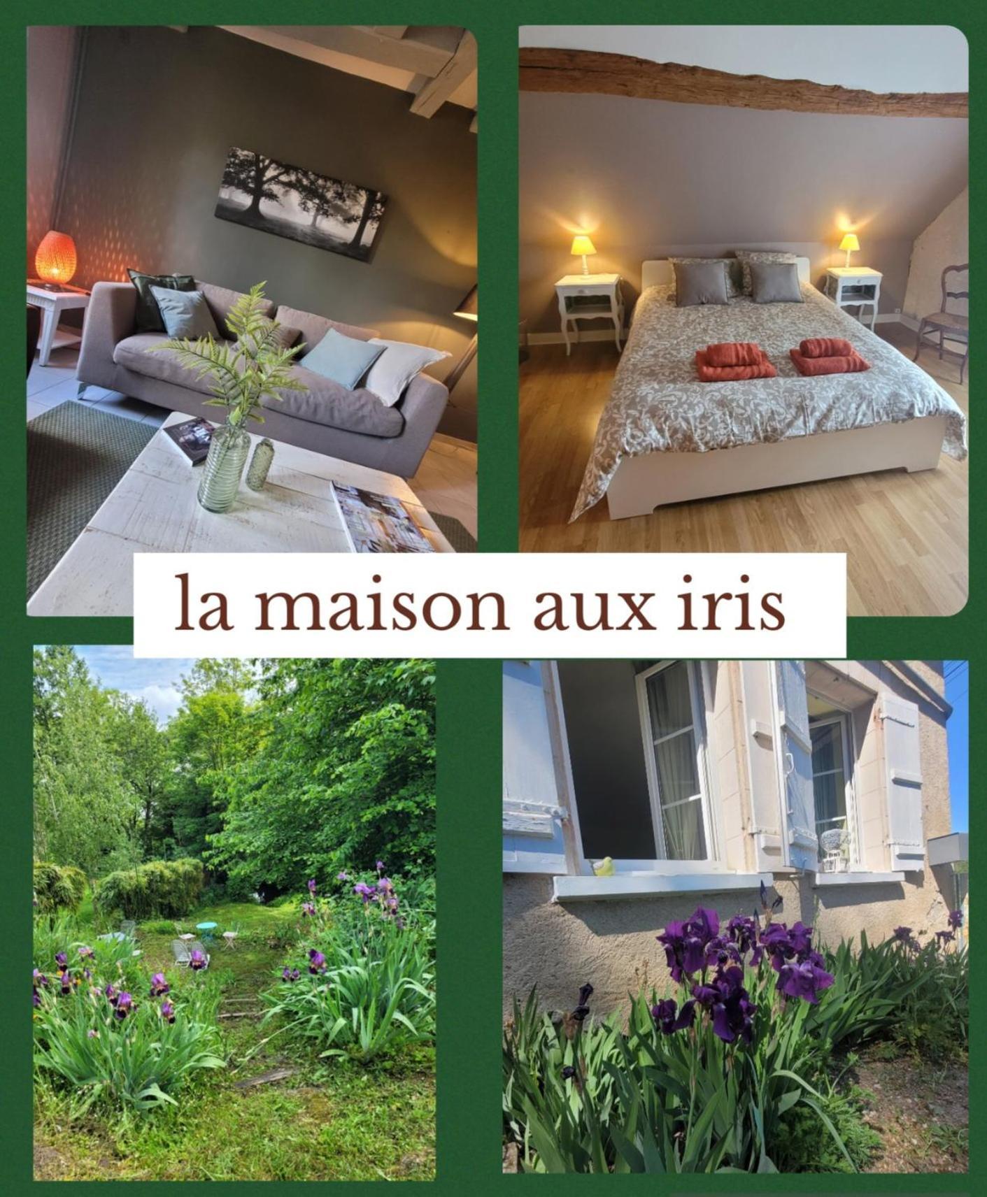La Maison Aux Iris Poce-sur-Cisse Екстер'єр фото