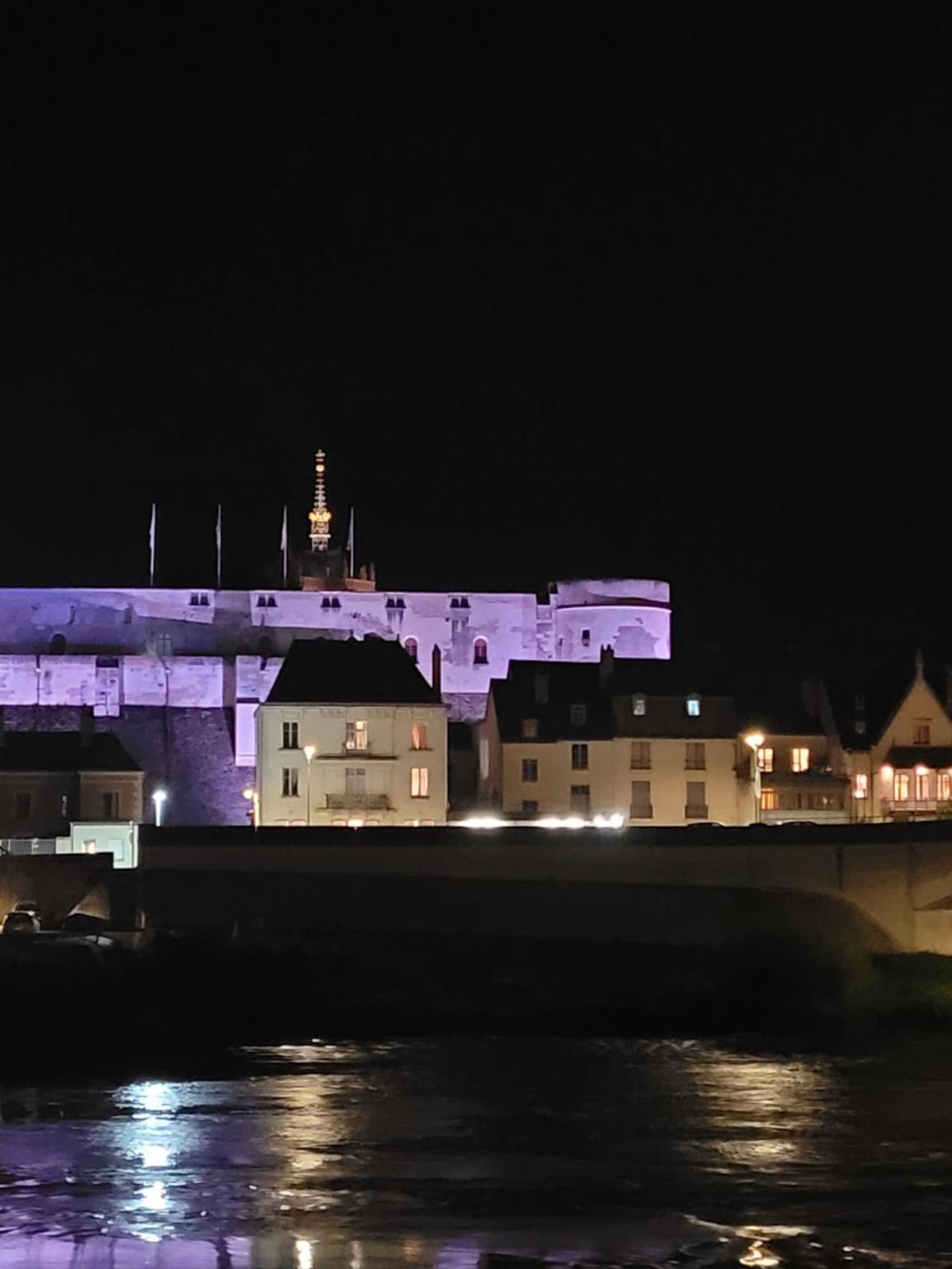 La Maison Aux Iris Poce-sur-Cisse Екстер'єр фото