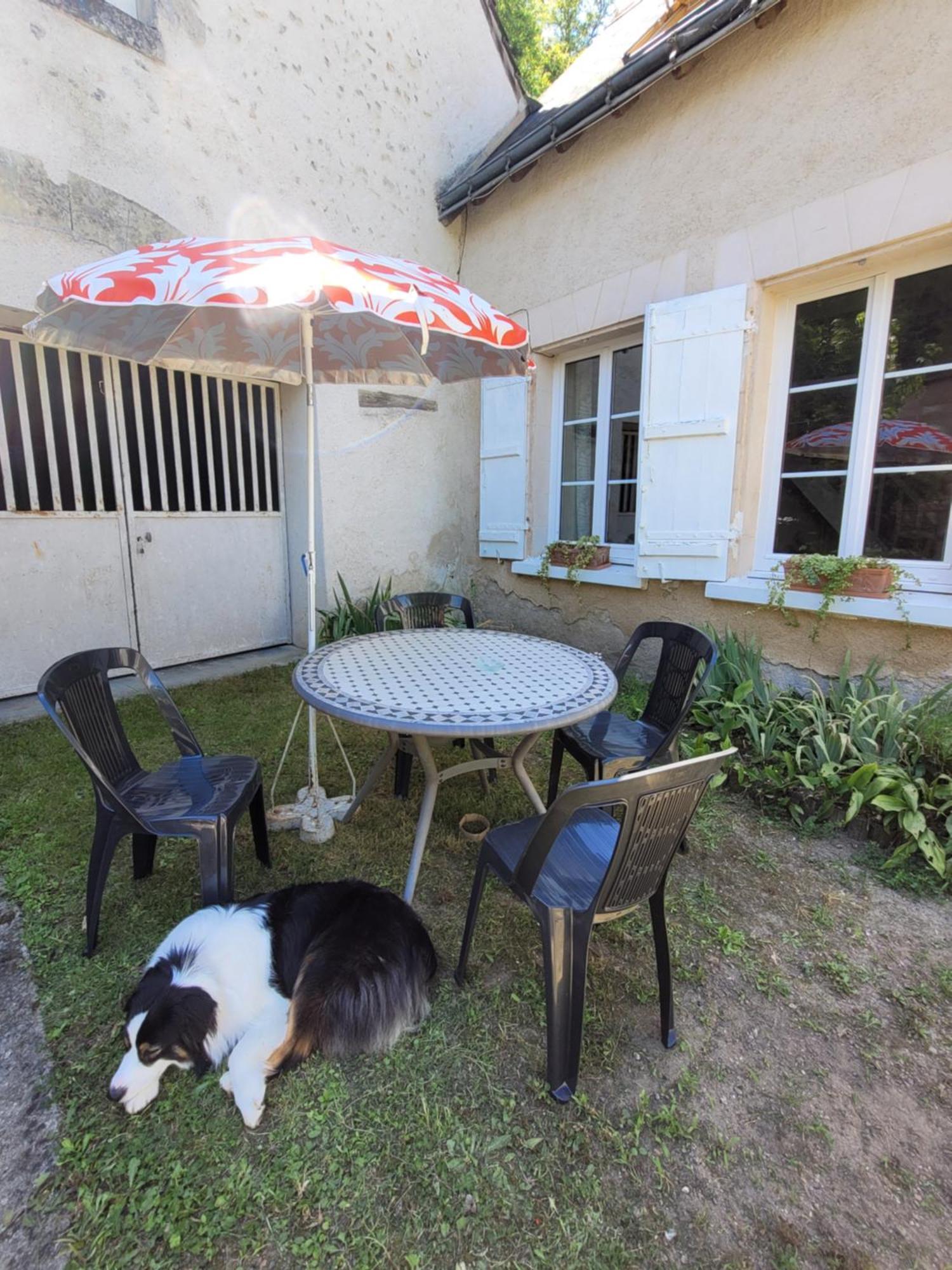 La Maison Aux Iris Poce-sur-Cisse Екстер'єр фото